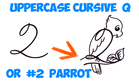 Learn how to draw a cartoon parrot from number 2 or uppercase cursive letter Q