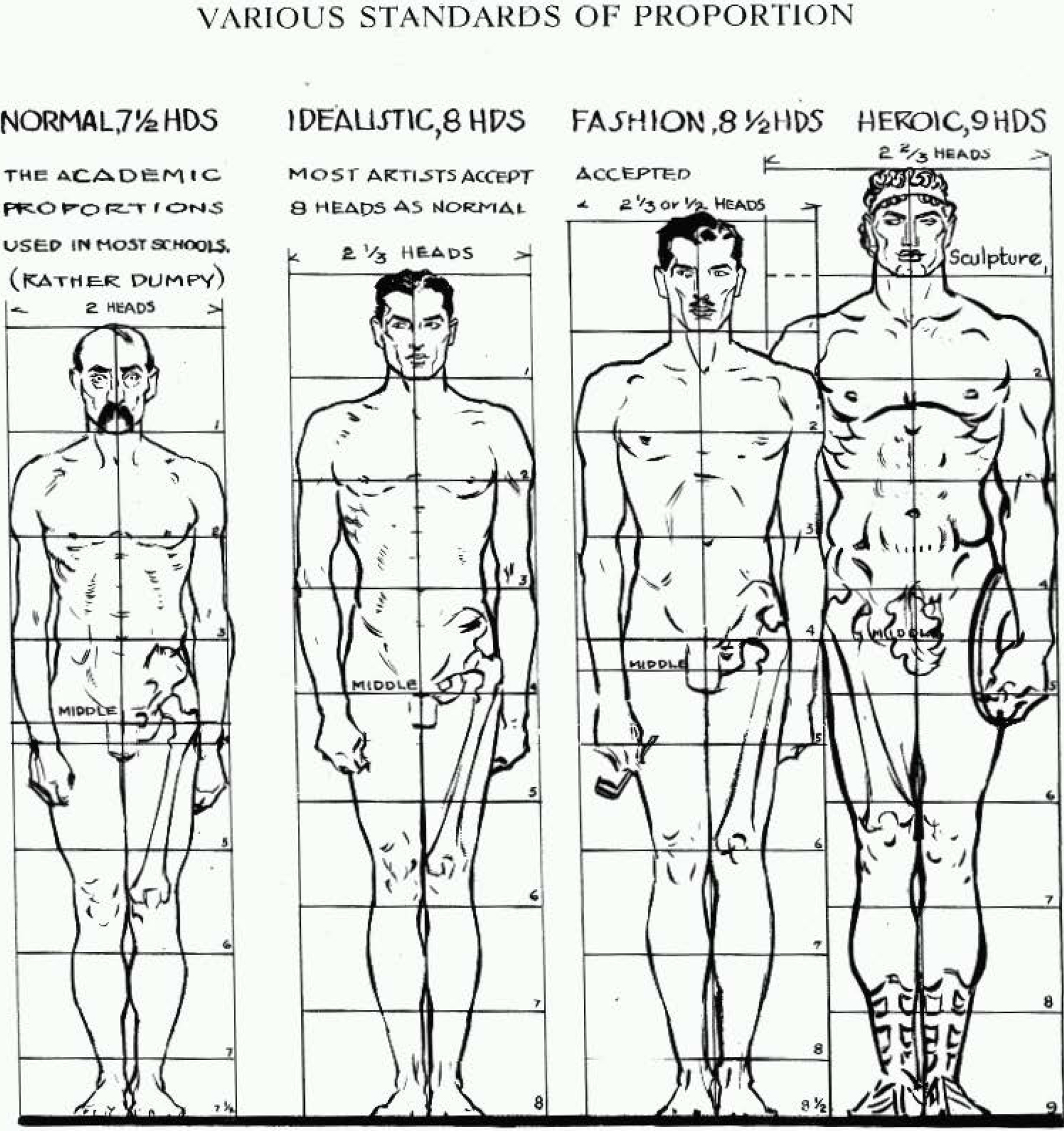 Proportions of the Human Figure : How to Draw the Human Figure in the