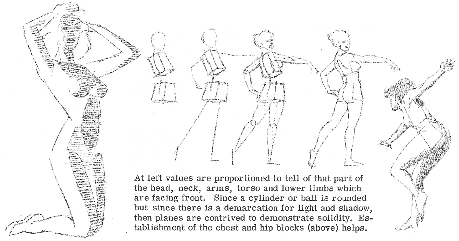 Left values. Solidity рисунок. HSB turning Torso чертеж. How to draw Torso. Draw Hip structure.