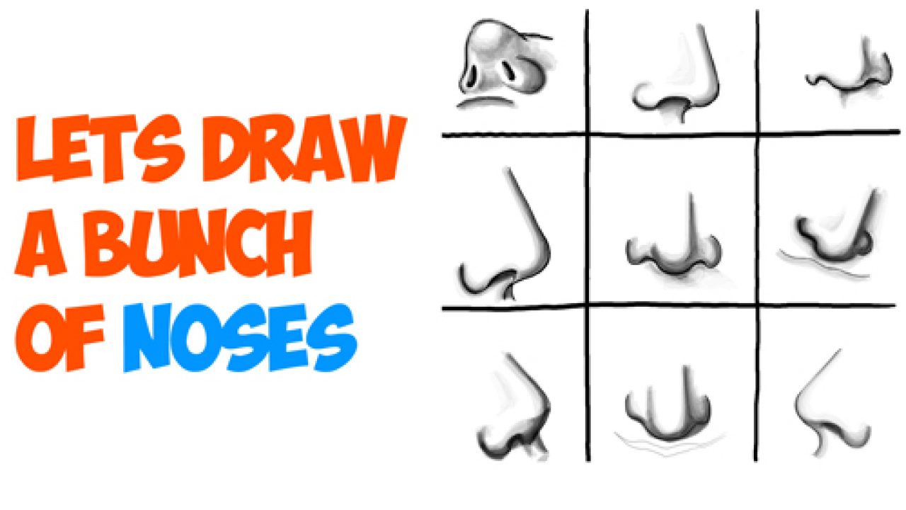 Nose - Drawing Skill