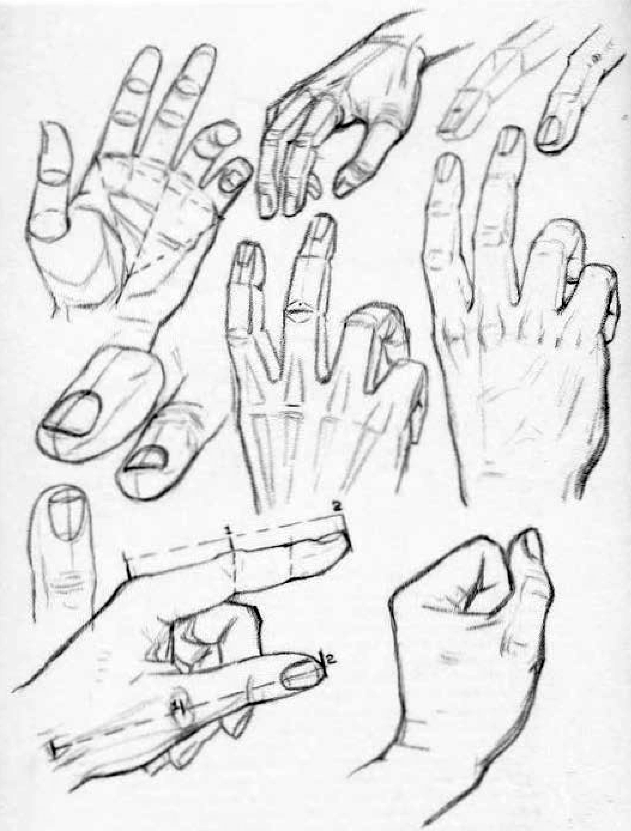 Constructing and Drawing Hands in the Right Way