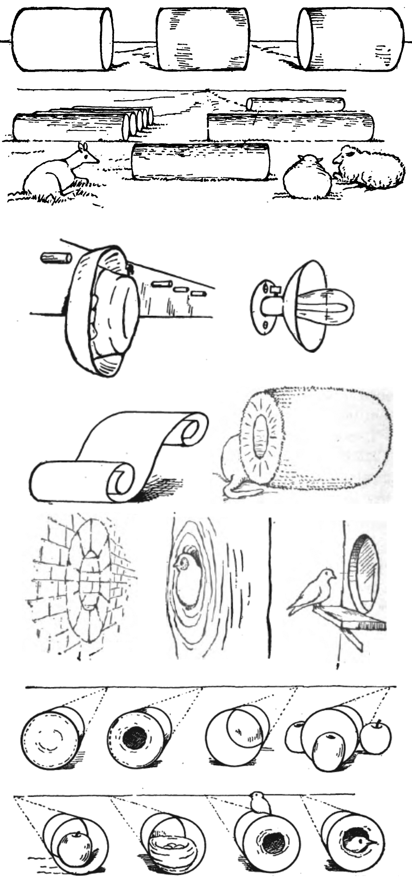 Drawing Things from Cylinders