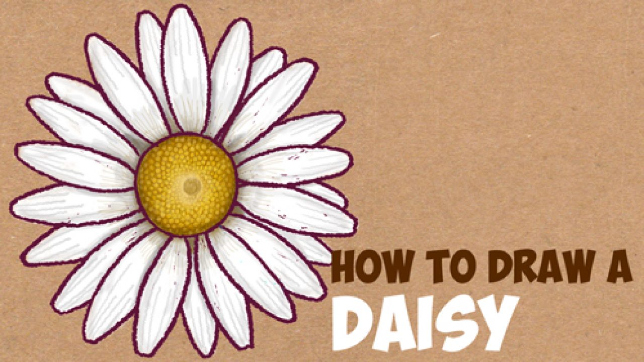 https://www.drawinghowtodraw.com/stepbystepdrawinglessons/wp-content/uploads/2016/10/how-to-draw-paint-daisy-daisies-easy-step-by-step-drawing-tutorial-beginners-1280x720.jpg
