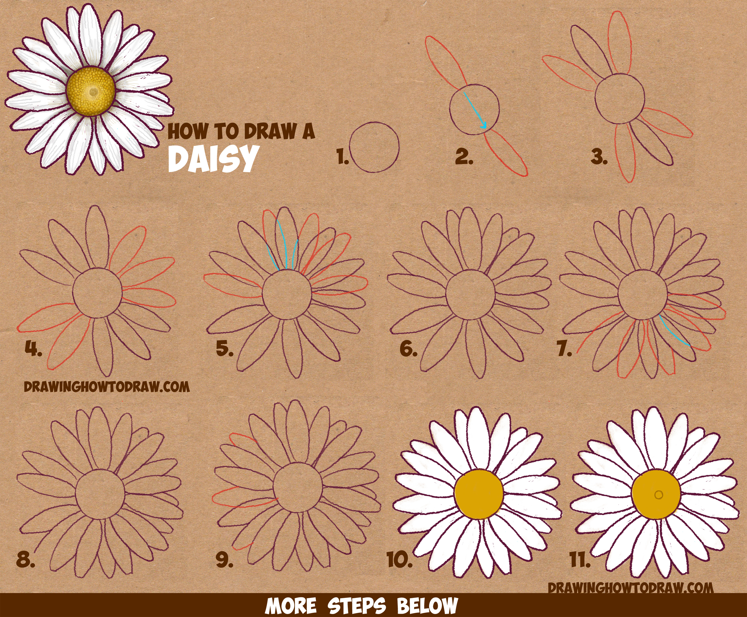 How to Draw a Daisy Flower (Daisies) in Easy Step by Step Drawing