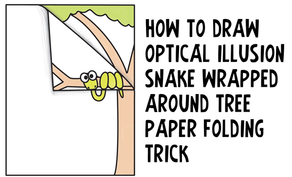 How to Draw Cartoon Snake Wrapped Around a Tree Branch - 3D Optical Illusion with Paper Folded Over Easy Step by Step Drawing Tutorial for Kids