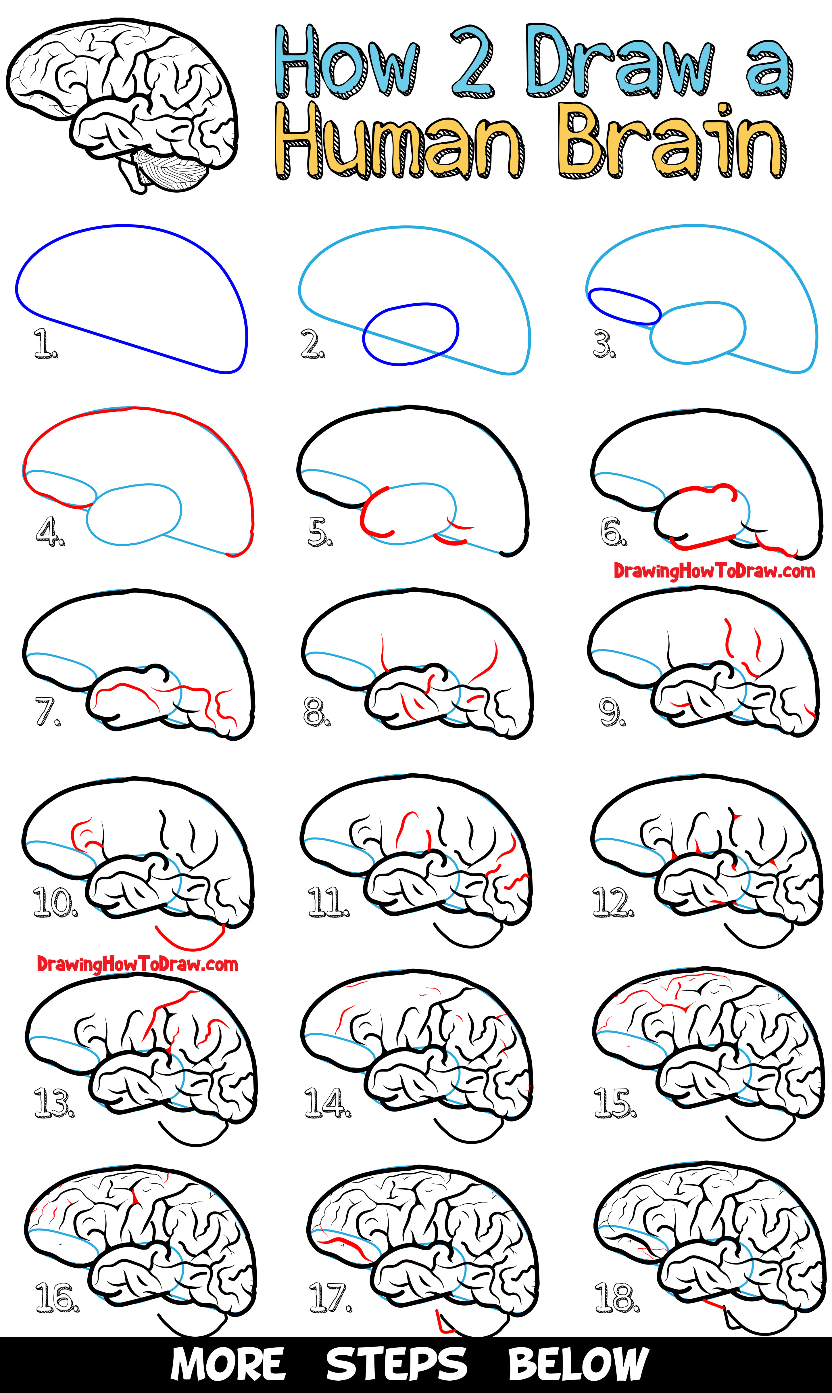 Brain Drawing Easy ~ View Drawing A Brain Pictures | Bodaswasuas