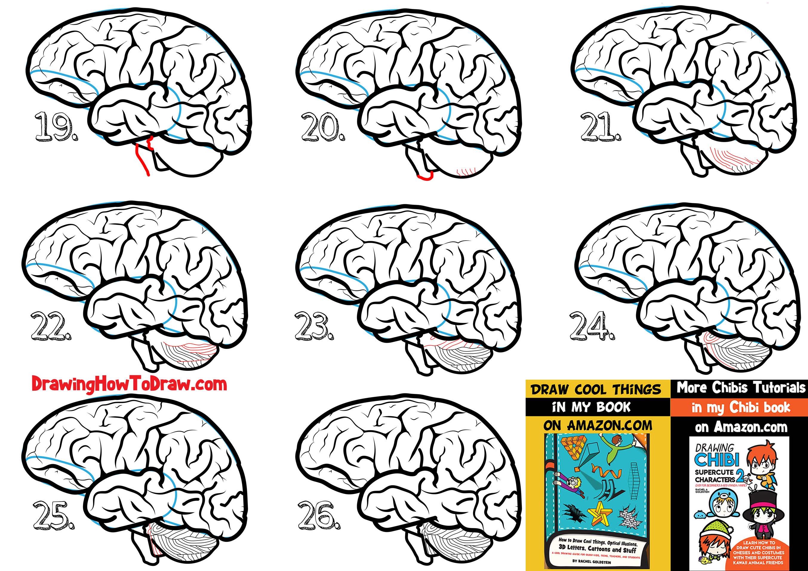 Aggregate 83+ easy brain drawing super hot - nhadathoangha.vn