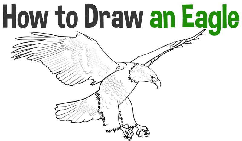 cool drawings of eagles