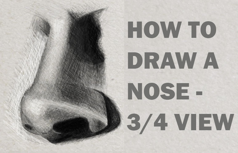 Drawing and Shading a Realistic Nose in 3/4 View in Pencil ...