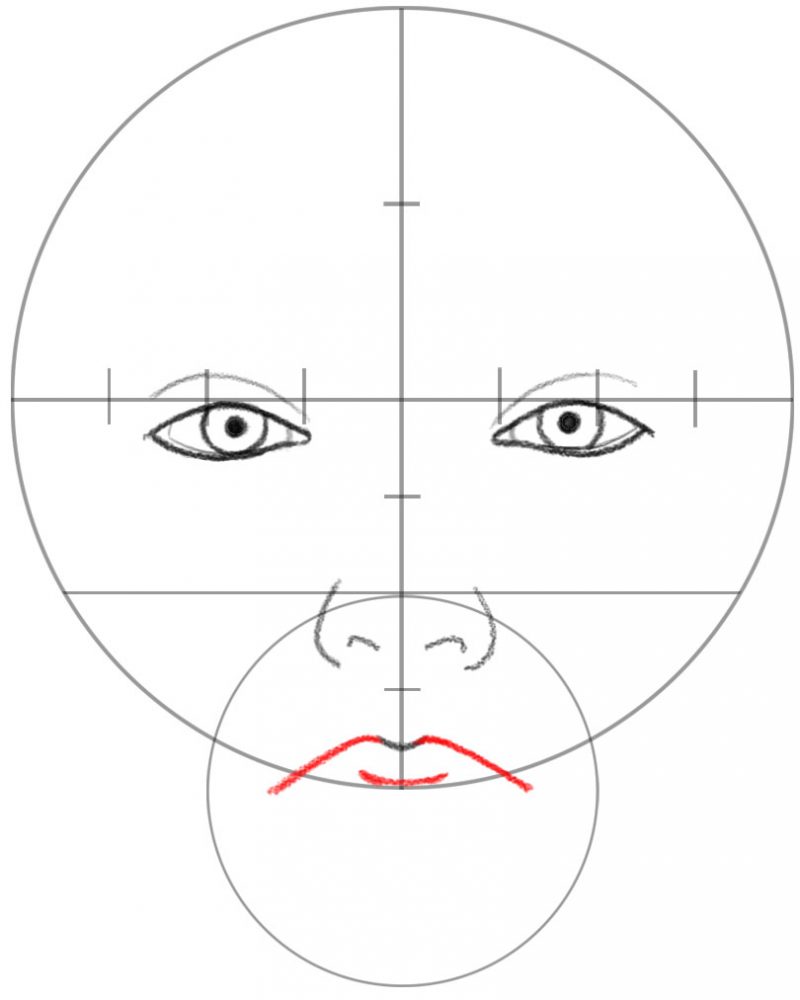 How to Draw a Face in Basic Proportions - Drawing Beautiful Female Face ...