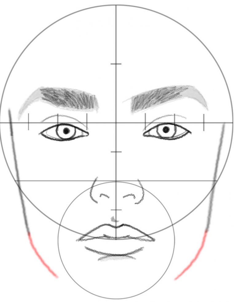 How to Draw a Face in Basic Proportions – Drawing Beautiful Female Face ...