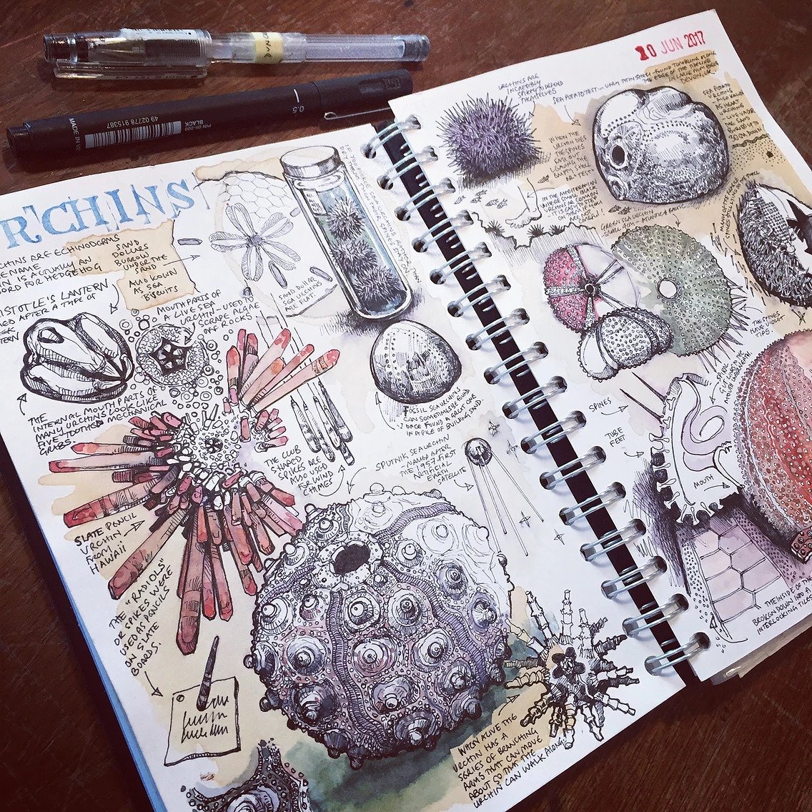 daily sketchbook assignments