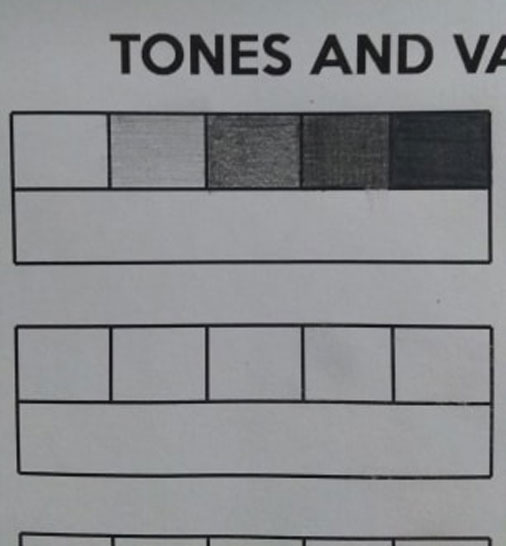 tones and values - 5 value scale