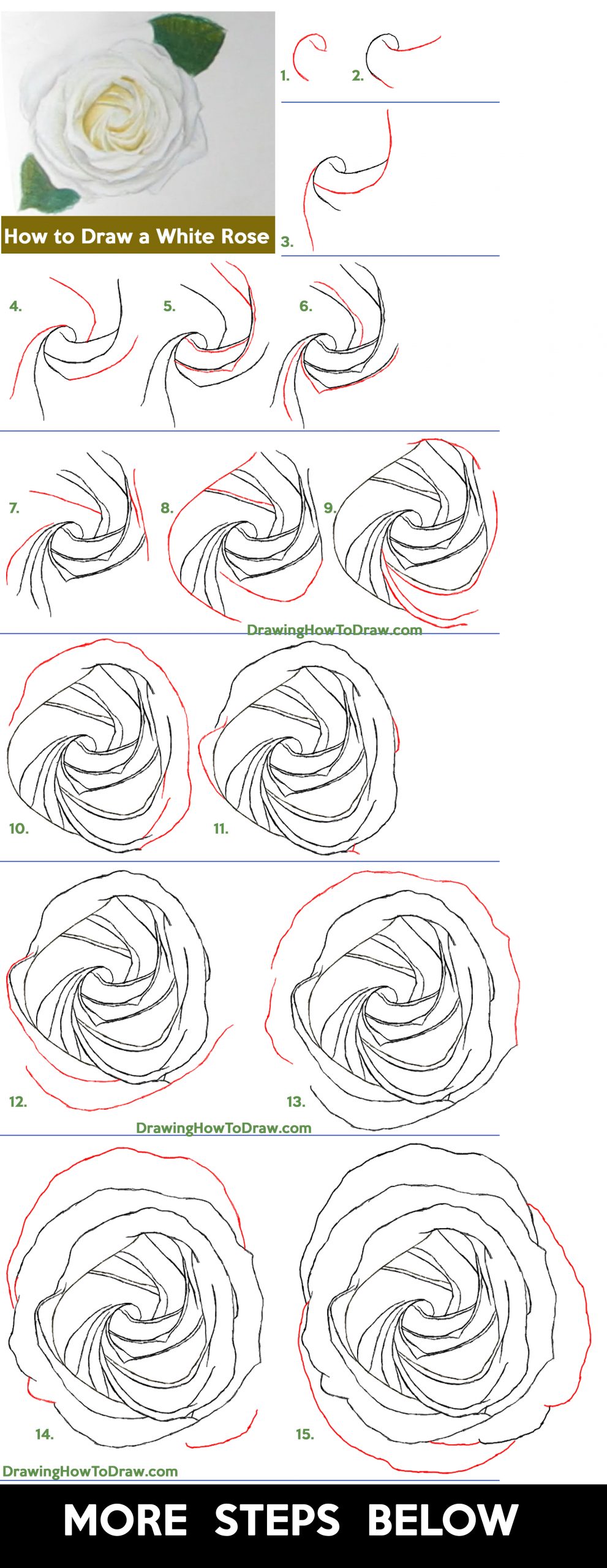 Drawings of roses: How to draw a rose - Step by step tutorial (3 ways)