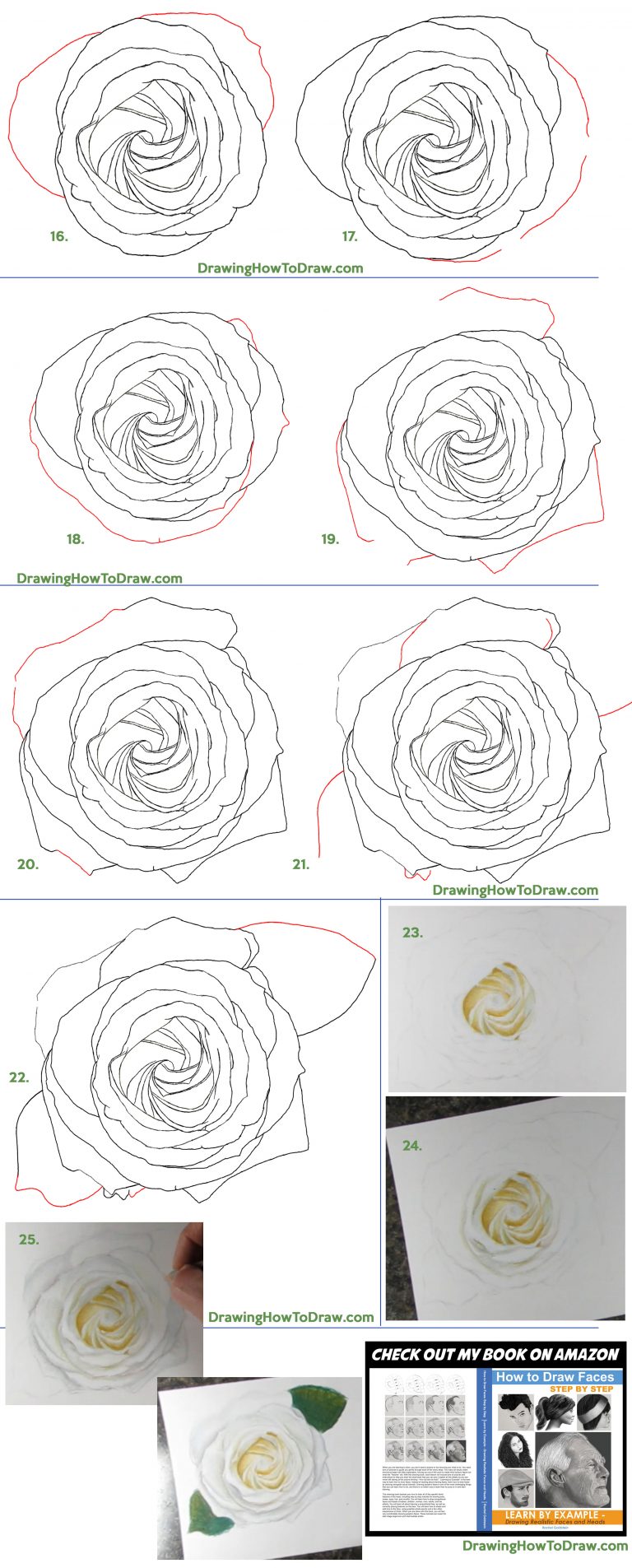 How to Draw a White Rose from Above for Valentine’s Day Using Pencils