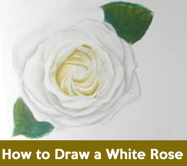 Featured image of post How To Draw A Rose With Pencil For Kids