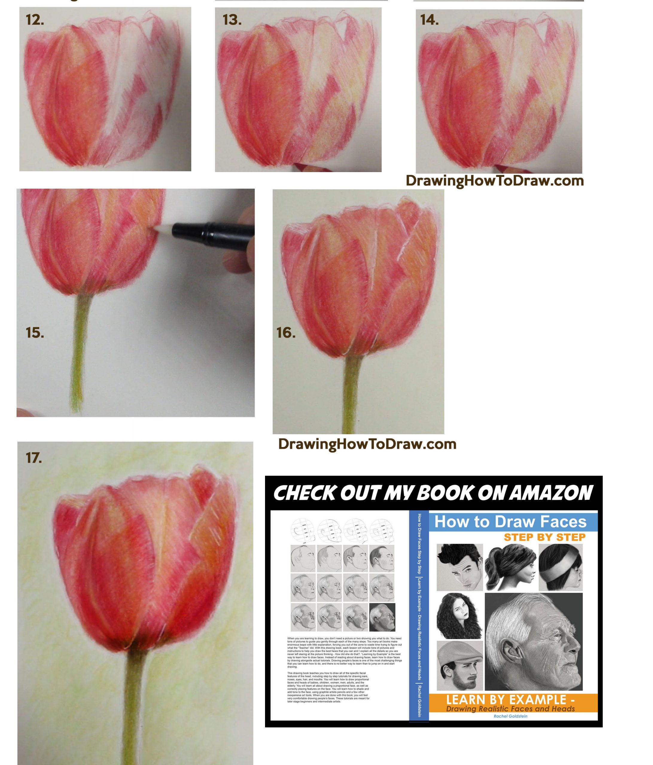 how to draw flowers - drawing tulips easy steps drawing lesson