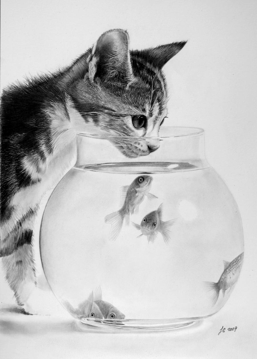 Franco Clun - Incredible realism pencil drawing -fish_without_chips_by_francoclun_d5b6ios-fullview