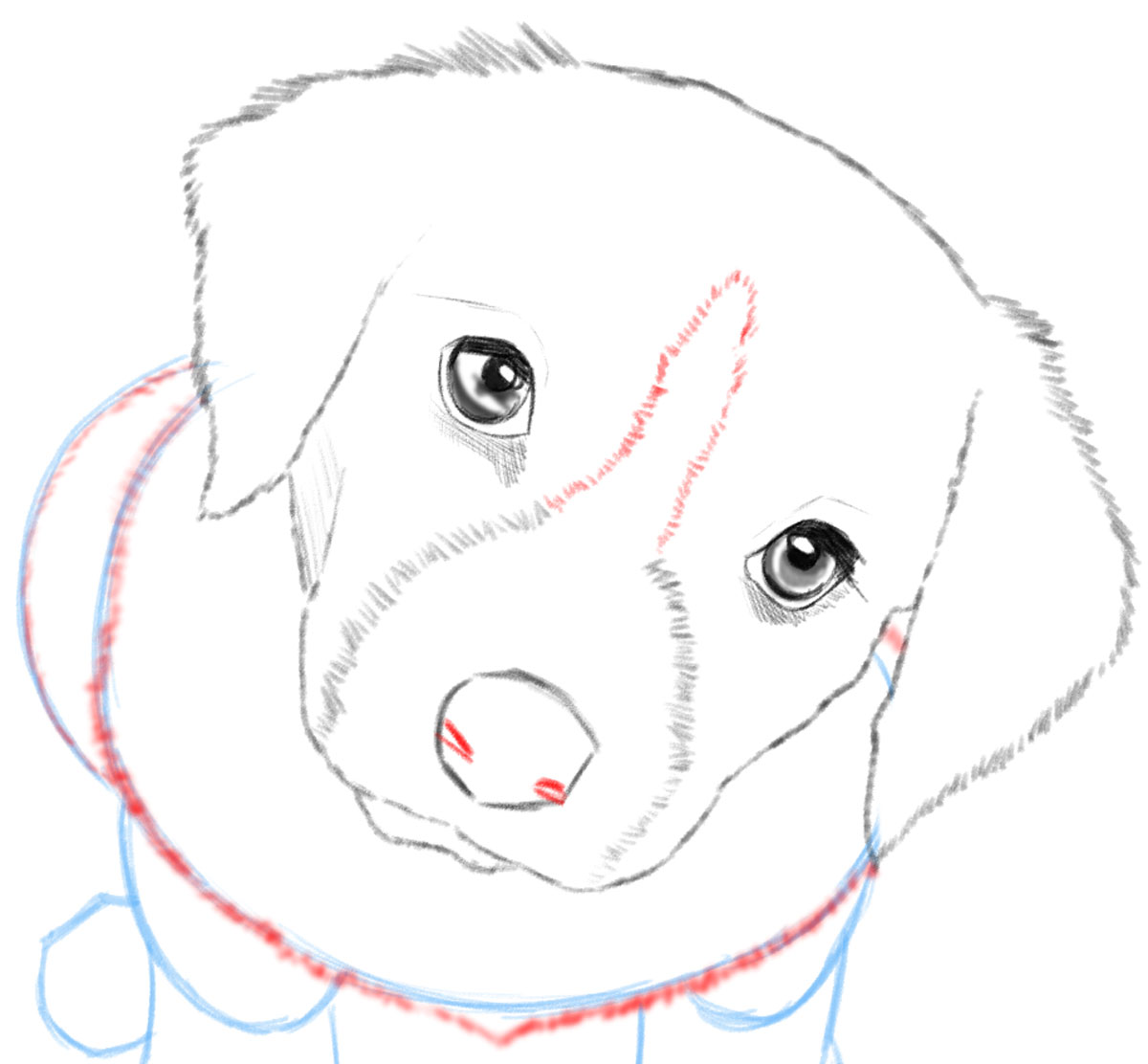 Premium Vector | Cute puppy dog outline coloring page for kids animal  coloring page