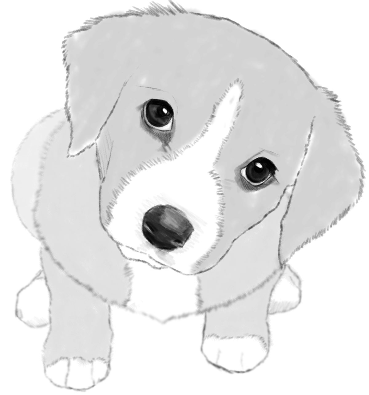 How to Draw Puppy CUTE - Easy | BOBO Cute Art - YouTube