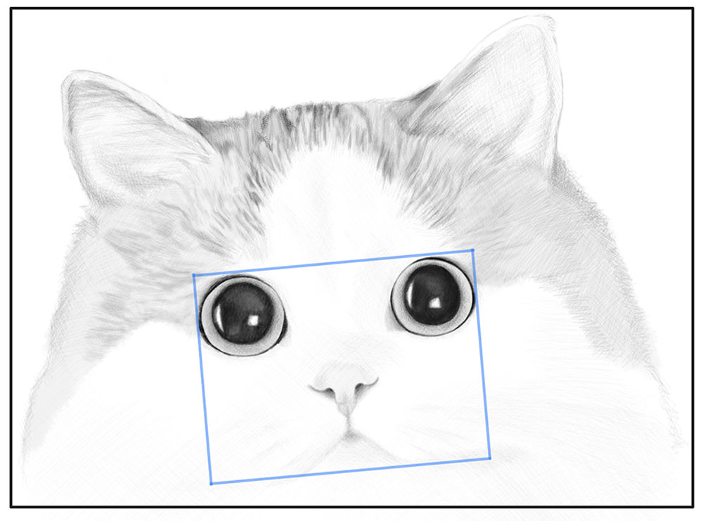 Draw Cats Drawing Kitten Sketch - Face - Cat Transparent PNG