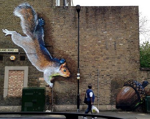 3d realistic squirrel on the wall mural
