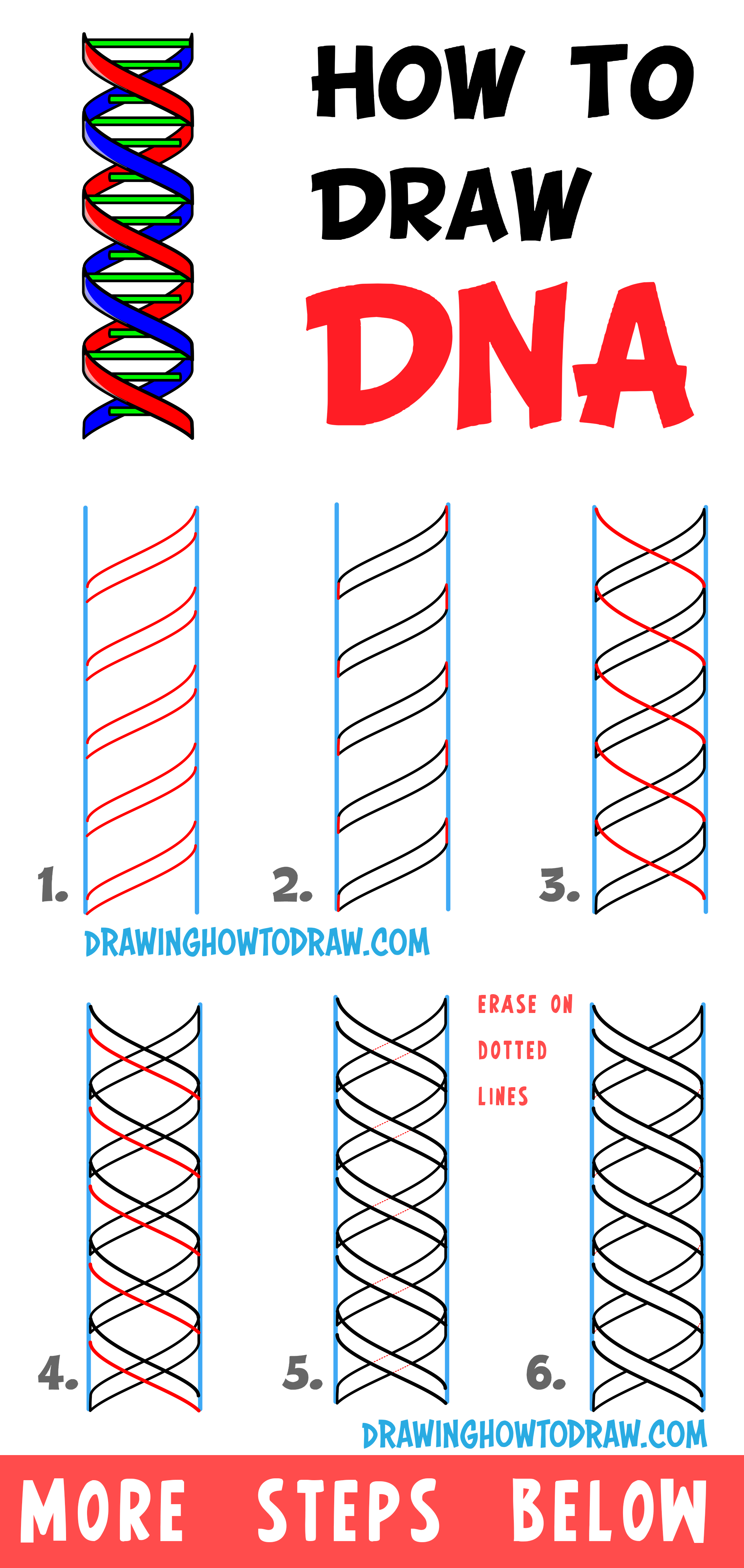 Learn How to Draw DNA Double Helix Structure - Easy Step-by-Step Drawing Tutorial