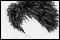 How to Draw African American Hair