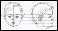 Baby Head Proportions Sheet
