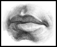 Drawing Male Lips