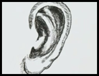 How to Draw an Ear [Video]