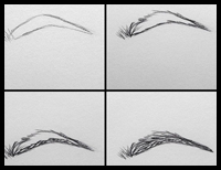 How To Draw Eyebrows Step By Step On Paper