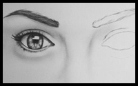 Drawing Eyes From a Portrait Drawing Class