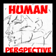 Human Faces and Body Perspective
