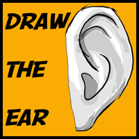 Draw Ears – How to Draw Cartoon & Illustrated & Manga-Style Ears in Easy Steps