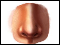 Learn How To Draw a Realistic Nose in Photoshop