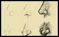 How to Draw a Nose and the Face: Drawing Tutorials & Drawing & How to ...