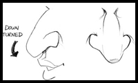 How to Draw Caricatures: Noses