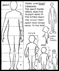 Proportions of the Human Figure : What is Meant by Good Proportions